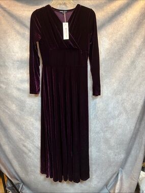 Long Sleeve Velvet Maxi Dress in Deep Plum